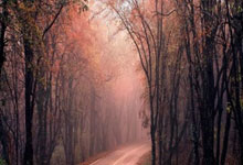 12月13日星期六,农历十月廿四,周末愉快,平安喜乐