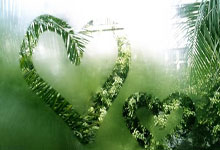 12月12日星期五,农历十月廿三,工作愉快,平安喜乐